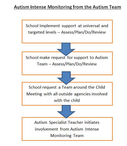 Autism Intense Monitoring pathway