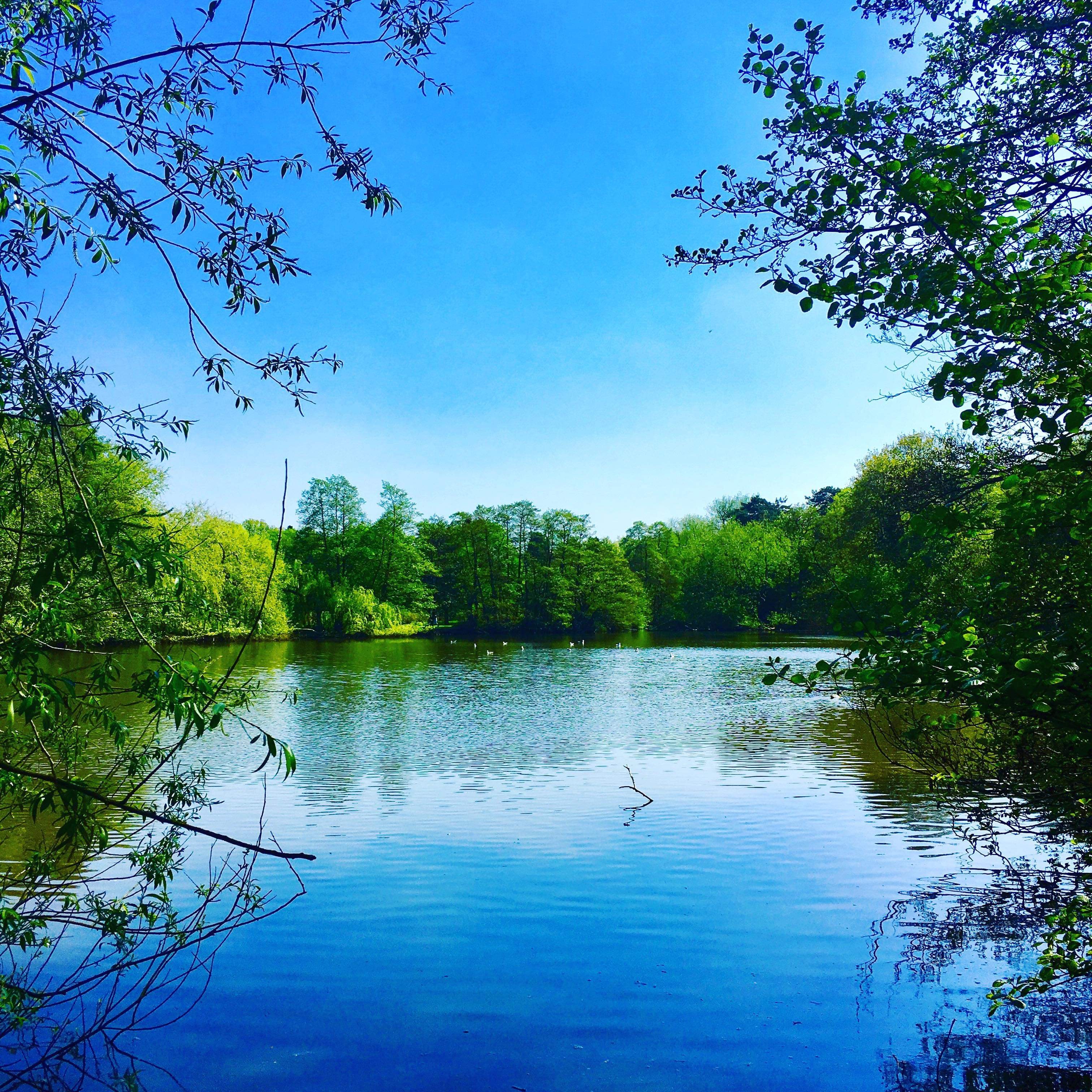 photo of lake in Solihull from commonwealth games photo competition