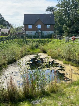 House in front of water