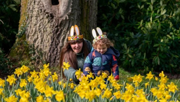Family with daffodils