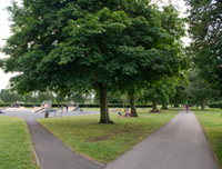 Shirley park