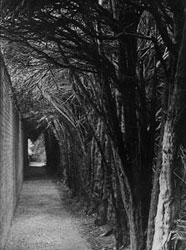 Black and white photo of Castle Bromwich Hall gardens