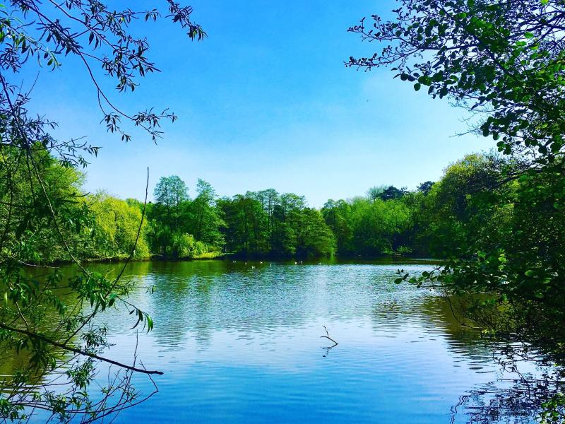 photo of lake in Solihull from commonwealth games photo competition