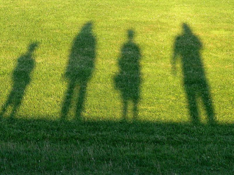 four shadows against grass