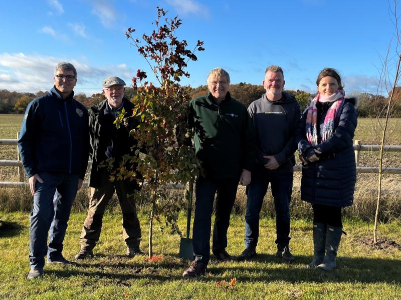 A tree planted with four men and a woman 