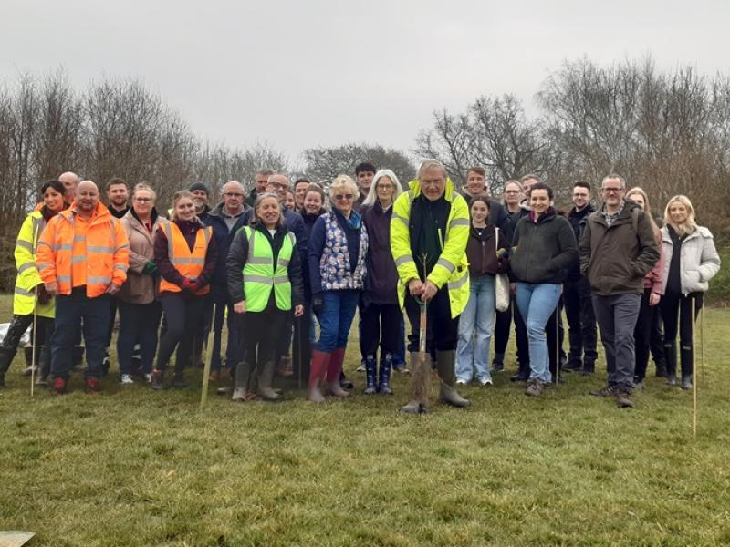 Planting trees at Katherine's Wood
