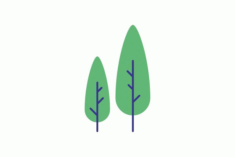 decorative graphic