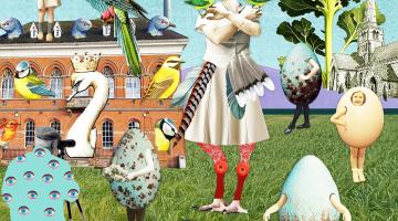 Bird Land by Helen Grundy