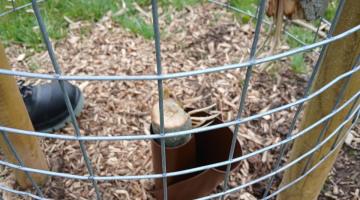 Chapelhouse Recreation Ground tree vandalism
