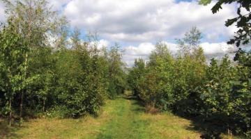 Photo of Arden landscape