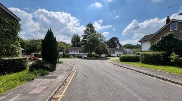 An image of a residential street in White House Way, lined by trees