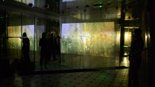 Pandemic loops screening