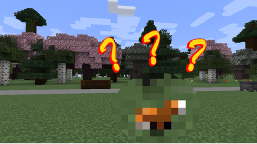 Minecraft Parks Solihull