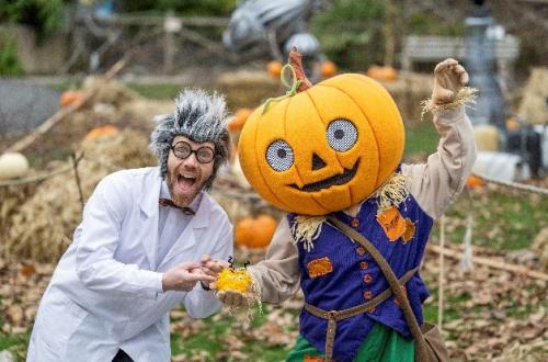 Halloween characters in pumpkin patch
