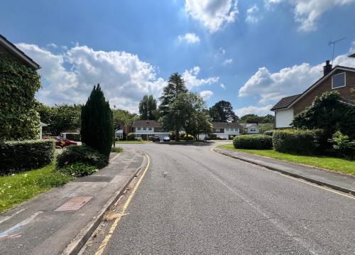 An image of a residential street in White House Way, lined by trees