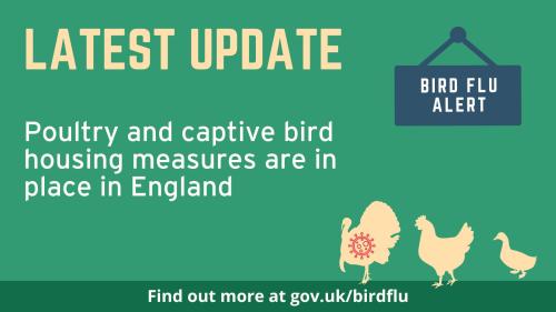 UK Chief Veterinary Officer puts in place mandatory housing for the whole of England to protect poultry and other captive birds